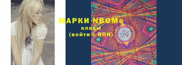 стаф Абаза