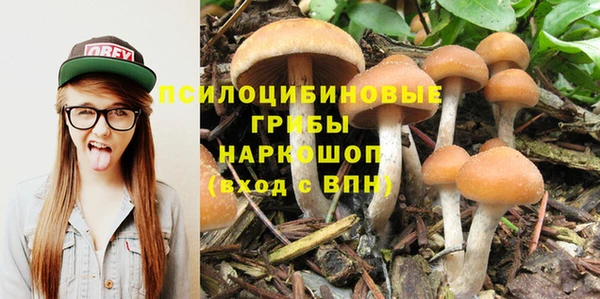 стаф Абаза
