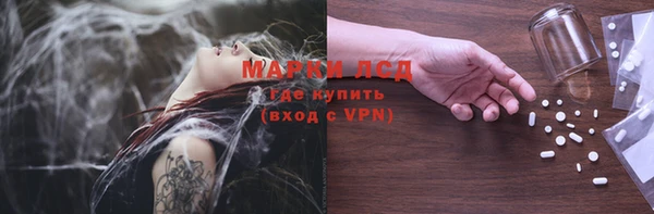 молекула духа Осташков