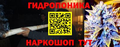 стафф Ликино-Дулёво