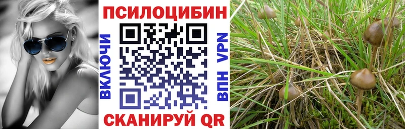 Галлюциногенные грибы GOLDEN TEACHER  хочу наркоту  Ялта 